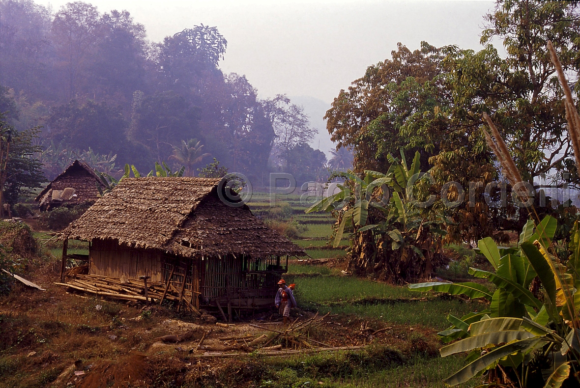 Mae Hong Son, Thailand
 (cod:Thailand 08)